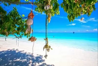 SIMILIAN ADALARI TURU