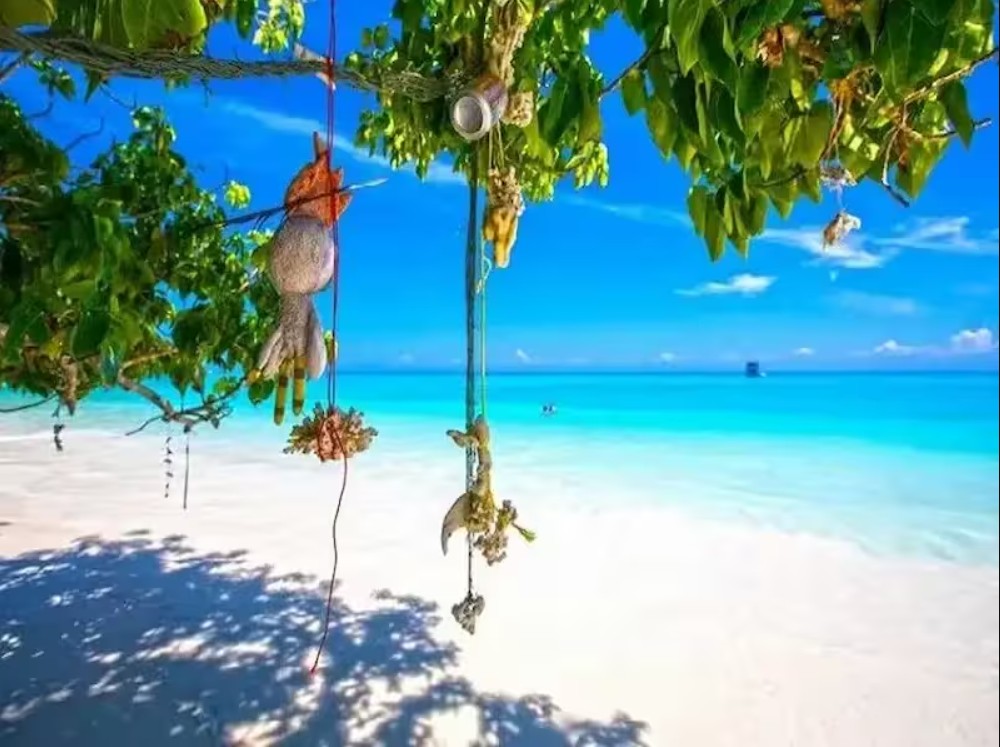 SIMILIAN ADALARI TURU